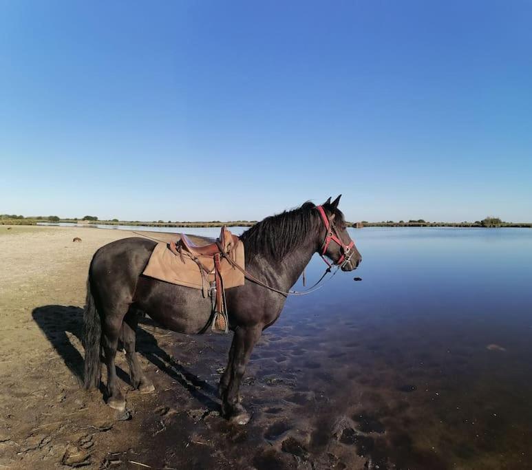 Gite A Saint Andre Des Eaux ภายนอก รูปภาพ