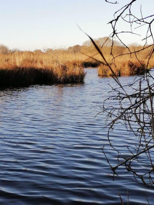Gite A Saint Andre Des Eaux ภายนอก รูปภาพ