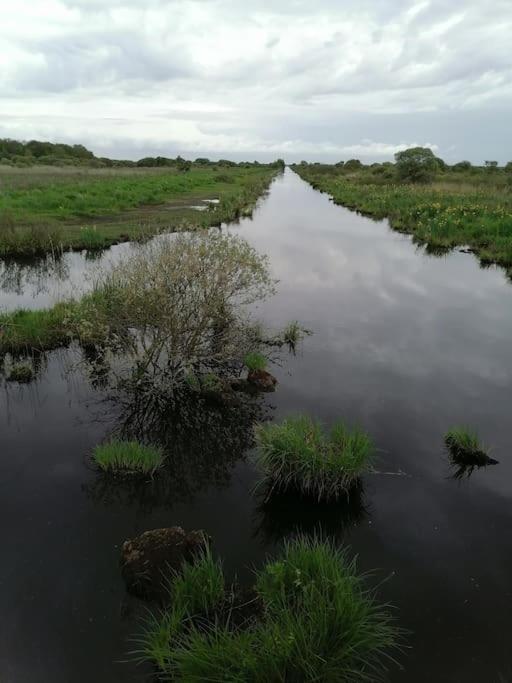 Gite A Saint Andre Des Eaux ภายนอก รูปภาพ